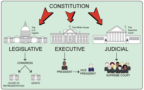 branches of government diagram