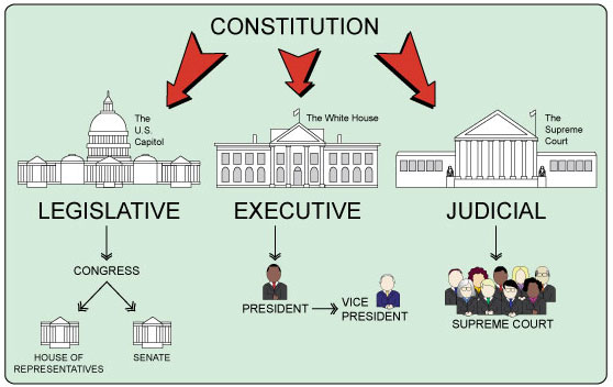 three branches of government chart