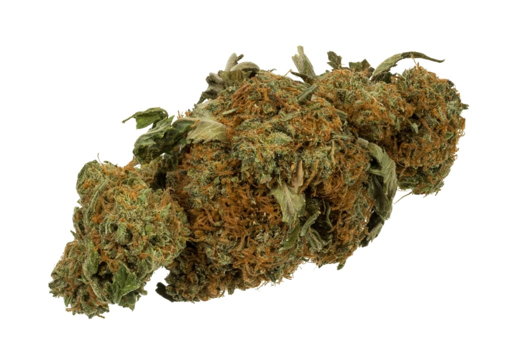 Cannabis weed bud