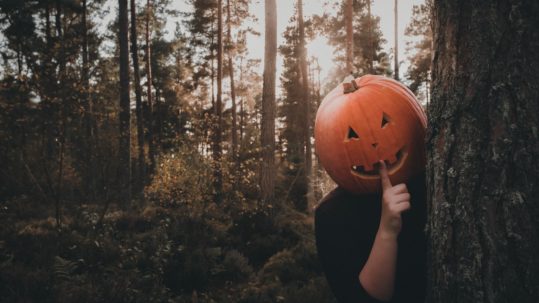is there prison time for pranking - person with pumpkin head hiding