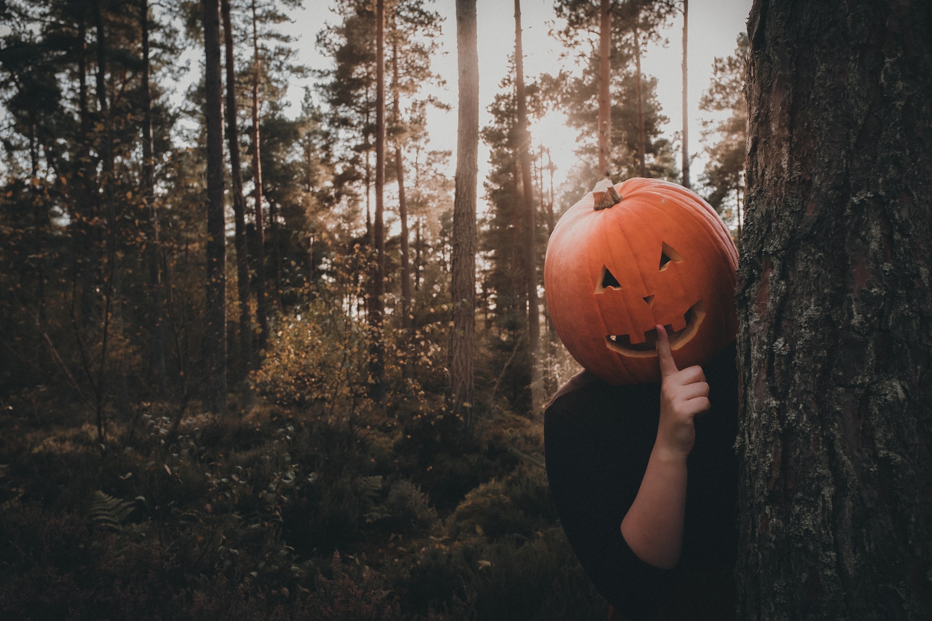 is there prison time for pranking - person with pumpkin head hiding